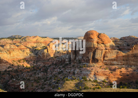 Escalante River Canyon, Grand Treppe Escalante National Monument, Utah, USA Stockfoto