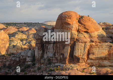 Escalante River Canyon, Grand Treppe Escalante National Monument, Utah, USA Stockfoto