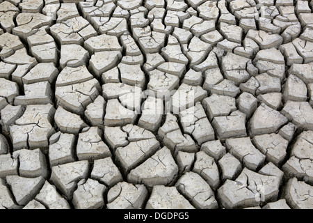 Große Risse in gebrannter Erde von getrockneten Wasserloch während Dürre am Ende der Trockenzeit im Yala-Nationalpark, Sri Lanka Stockfoto