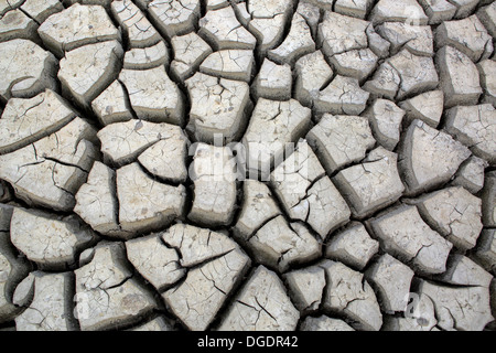 Große Risse in gebrannter Erde von getrockneten Wasserloch während Dürre am Ende der Trockenzeit im Yala-Nationalpark, Sri Lanka Stockfoto