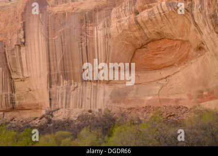 Wüste Lack und Alkoven auf Klippen über Calf Creek, Grand Staircase Escalante National Monument, Utah, USA Stockfoto