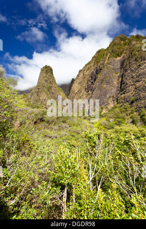 Die berühmten Iao Needle in der Iao Valley State Park auf Maui, Hawaii. Stockfoto