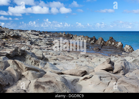 Drachenzähne in Kapalua, Maui, Hawaii. Stockfoto