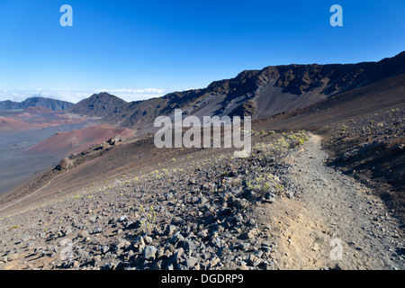 Fußweg vom Gipfel hinunter in den großen Haleakala Krater auf Maui, Hawaii. Stockfoto