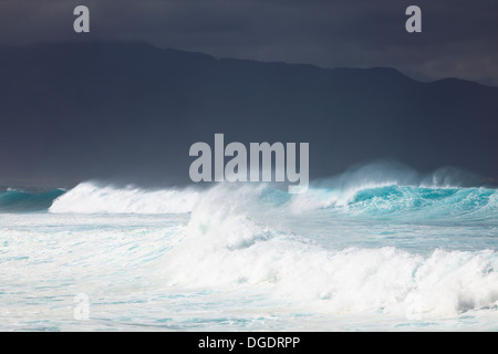 Hohen Wellen am Hookipa in Maui, Hawaii. Stockfoto