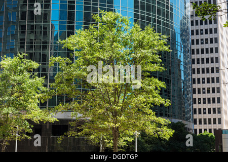 Bürogebäude am Wells Fargo Plaza Houston Texas Stockfoto