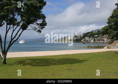 Malerische Aussicht auf Oriental Bay in Wellington, New Zealand, mit Yacht ankern vor der Küste Stockfoto