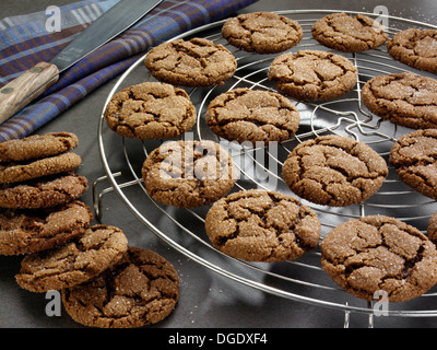 Ingwer-Schnapper-Plätzchen Stockfoto