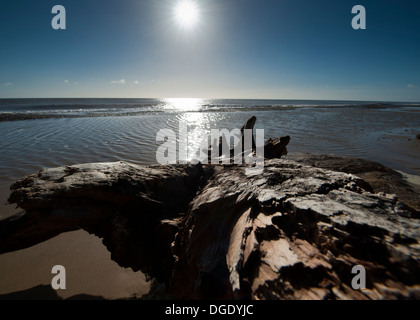 Ruhe nach der Sturm auf Benacre Strand Suffolk. Stockfoto