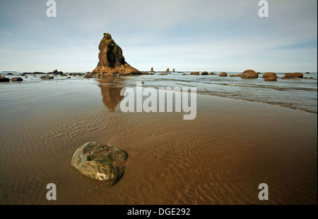 Seastacks und Barnacle bedeckt Felsen entlang der Küste von Oil City Beach in der Wildnis Küstenabschnitt der Olympic National Park. Stockfoto