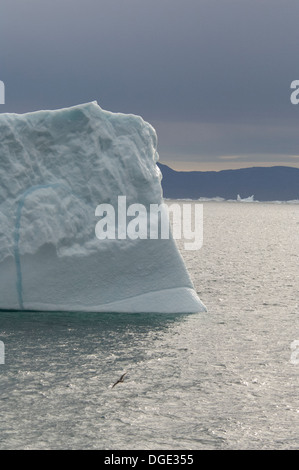 Grönland, Nuussuaq Penninsula Qaasuitsup Gemeinde, Disko-Bucht in der Nähe von Saqqaq (alias Sarqaq oder Solsiden). Eisberge in der Disko-Bucht. Stockfoto