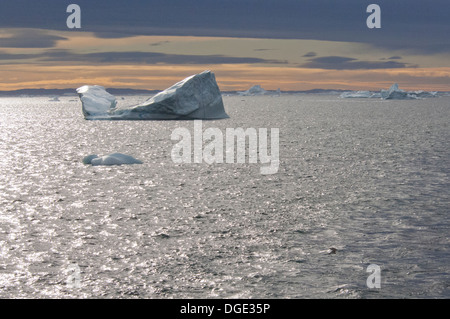 Grönland, Nuussuaq Penninsula Qaasuitsup Gemeinde, Disko-Bucht in der Nähe von Saqqaq (alias Sarqaq oder Solsiden). Eisberge in der Disko-Bucht Stockfoto