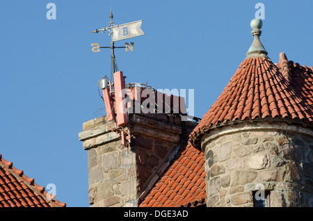 New York, St. Lawrence Seaway, Thousand Islands. Sänger-Burg auf dunkel Island. Dach-Detail. Stockfoto