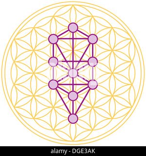 Baum des Lebens passt perfekt In die Blume des Lebens Stockfoto