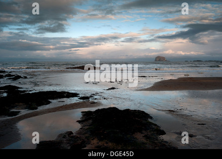 Bass Rock, Firth of Forth Stockfoto