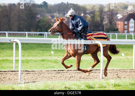 Newmarket des Galopps Stockfoto