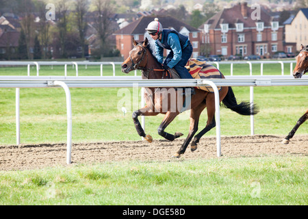 Newmarket des Galopps Stockfoto
