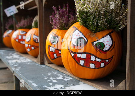 Nahaufnahme einer Gruppe von 5 alle scary Kürbisse Halloween, begehen 2013. Sie waren auf dem Display außerhalb eines Floristen in Ironbridge, Shropshire Stockfoto