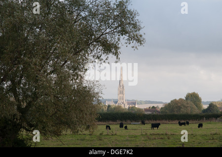 Kathedrale von Salisbury eine anglikanische Kathedrale in Wiltshire. 123m Höhe und begonnene Bau 1220 Stockfoto