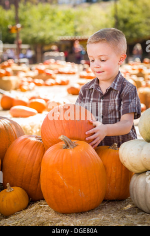 Entzückende kleine Junge sammeln seine Kürbisse in einem Kürbisfeld an einem Herbsttag. Stockfoto