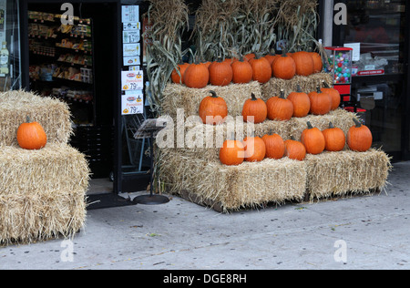 Kürbisse zum Verkauf in New York Stockfoto