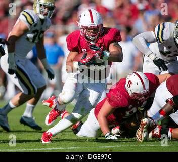 Palo Alto, CA. 19. Oktober 2013. Stanford Cardinal Runningback Tyler Gaffney (25) in Aktion während der NCAA Football-Spiel zwischen der Stanford Cardinal und die UCLA Bruins im Stanford Stadium in Palo Alto, CA. Stanford besiegte UCLA 24-10. Damon Tarver/Cal Sport Media/Alamy Live-Nachrichten Stockfoto