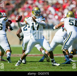 Palo Alto, CA. 19. Oktober 2013. UCLA Bruins Quarterback Brett Hundley (17) in Aktion während der NCAA Football-Spiel zwischen der Stanford Cardinal und die UCLA Bruins im Stanford Stadium in Palo Alto, CA. Stanford besiegte UCLA 24-10. Damon Tarver/Cal Sport Media/Alamy Live-Nachrichten Stockfoto