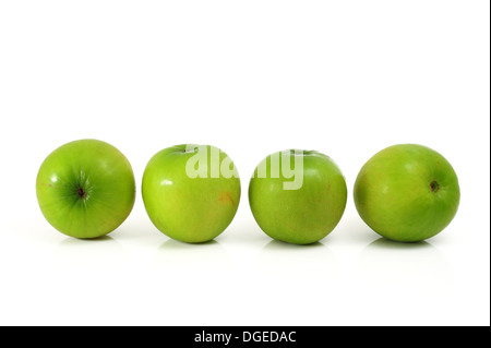 Brustbeeren oder Affen Apfel Stockfoto