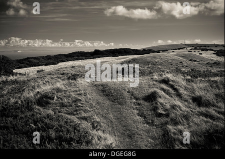 Neun Hügelgräber Bronze-und Jungsteinzeit Barrow-Friedhof in den Purbeck Hills, Dorset, Großbritannien Stockfoto