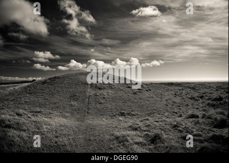 Neun Hügelgräber Bronze-und Jungsteinzeit Barrow-Friedhof in den Purbeck Hills, Dorset, Großbritannien Stockfoto