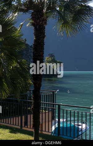 Luganer See gesehen vom Gandria Trail, Schweiz Stockfoto