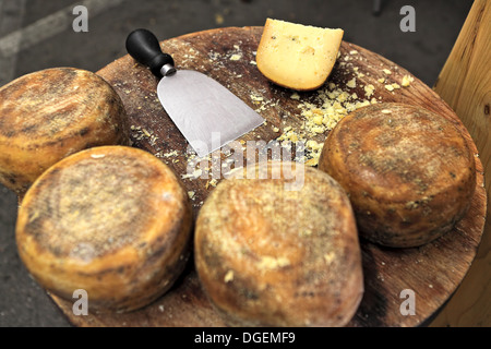 Kleine Räder des Pecorino und Käse Messer auf Holztisch. Stockfoto