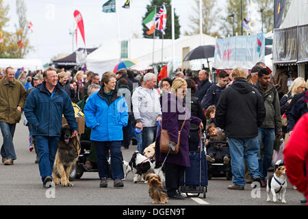 Newark, Großbritannien. 20. Oktober 2013. Käufer bei Robin Hood Spiel und Land zeigen. Bildnachweis: Penny Fillingham/Alamy Live-Nachrichten Stockfoto