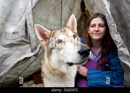 Newark, Großbritannien. 20. Oktober 2013. Arktis Utonagan Hund bei Robin Hood Spiel und Land zeigen. Bildnachweis: Penny Fillingham/Alamy Live-Nachrichten Stockfoto