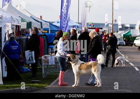 Newark, Großbritannien. 20. Oktober 2013. Käufer bei Robin Hood Spiel und Land zeigen. Bildnachweis: Penny Fillingham/Alamy Live-Nachrichten Stockfoto