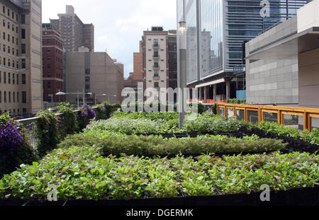 Manhattan, New York, USA. 2. Juli 2013. Blick auf den Garten des Restaurants "River Park" in Manhattan, New York, USA, 2. Juli 2013. Die Betten des Gartens entstanden in Milch tragen Kisten aus Kunststoff. New York ist bekannt für Hochhäuser und Straßenschluchten, aber die Metropole ist auch überraschend grün. Mit "Urban Gardening" zurück viele Menschen zur Natur - ob im Gesundheitsbewusstsein oder pure Notwendigkeit. Foto: Christina Horsten/Dpa/Alamy Live News Stockfoto