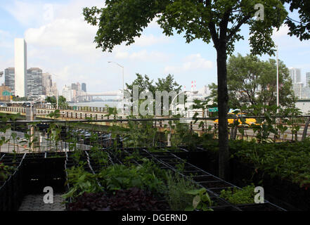 Manhattan, New York, USA. 2. Juli 2013. Blick auf den Garten des Restaurants "River Park" in Manhattan, New York, USA, 2. Juli 2013. Die Betten des Gartens entstanden in Milch tragen Kisten aus Kunststoff. New York ist bekannt für Hochhäuser und Straßenschluchten, aber die Metropole ist auch überraschend grün. Mit "Urban Gardening" zurück viele Menschen zur Natur - ob im Gesundheitsbewusstsein oder pure Notwendigkeit. Foto: Christina Horsten/Dpa/Alamy Live News Stockfoto