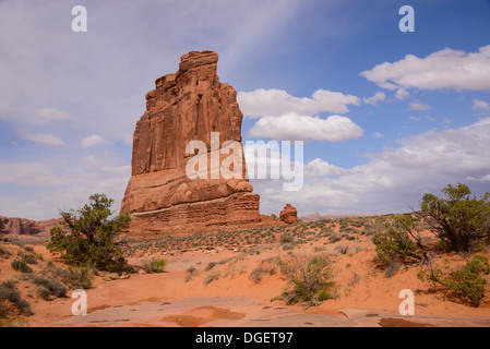 Die Orgel, Courthouse Towers, Arches-Nationalpark, Utah, USA Stockfoto