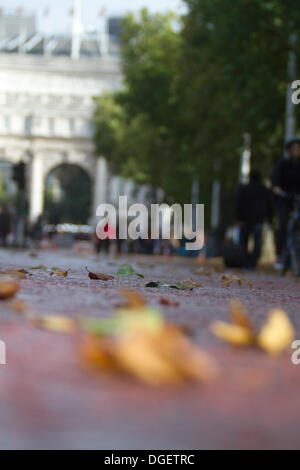 London UK. 20. Oktober 2013.  Herbst Blätter verstreut auf der Mall in London Credit: Amer Ghazzal/Alamy Live-Nachrichten Stockfoto