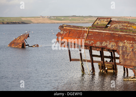 Inseln von Orkney, Schottland. Die versunkenen Überreste von Liverpool nach Dublin Dampfer "Reginald" im Osten Weddell Sound. Stockfoto