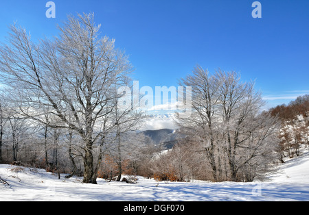 Winter auf dem Berg aus Mazedonien - Europa Stockfoto