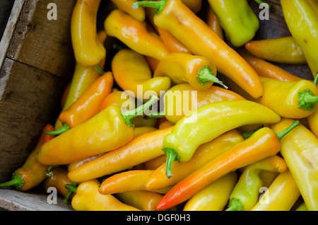 Eine Kiste mit ungarischen Wachs Paprika auf dem Bauernmarkt an einem regnerischen Tag. Stockfoto