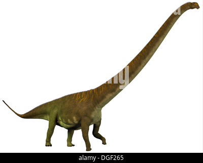 Dinosauriers war ein Pflanzenfresser Sauropod Dinosaurier aus dem späten Jura Periode Chinas. Stockfoto