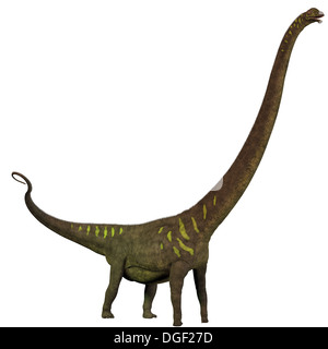 Dinosauriers war ein Pflanzenfresser Sauropod Dinosaurier aus dem späten Jura Periode Chinas. Stockfoto