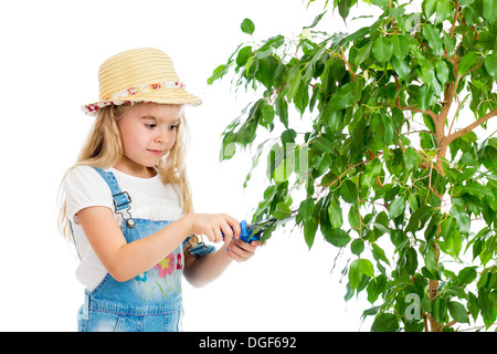 Gärtner Mädchen schneiden Blätter vom Baum Stockfoto