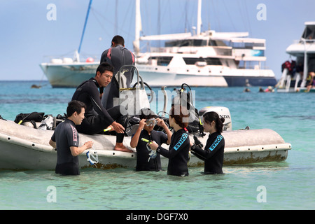 Tauchen am Michelmans Cay auf das Great Barrier Reef. Cairns, Queensland, Australien. Stockfoto