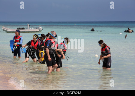 Schnorcheln an Michelmans Cay auf das Great Barrier Reef. Cairns, Queensland, Australien. Stockfoto