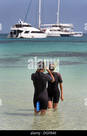 Schnorcheln an Michelmans Cay auf das Great Barrier Reef. Cairns, Queensland, Australien. Stockfoto