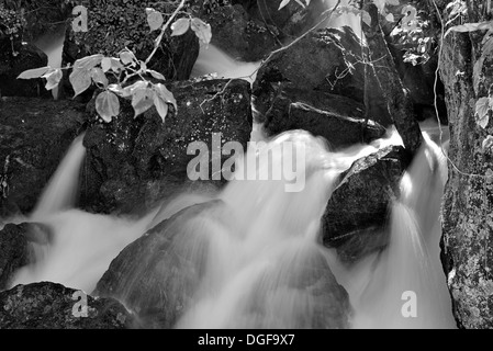 Argentinien, Iguazú Nationalpark: schwarz / weiß Bild zeigt individuelle Kaskade von Iguaçu-Wasserfälle Stockfoto