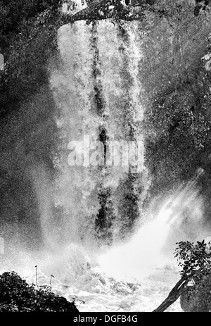 Argentinien, Iguazú Nationalpark: schwarz / weiß Bild zeigt individuelle Kaskade von Iguaçu-Wasserfälle Stockfoto